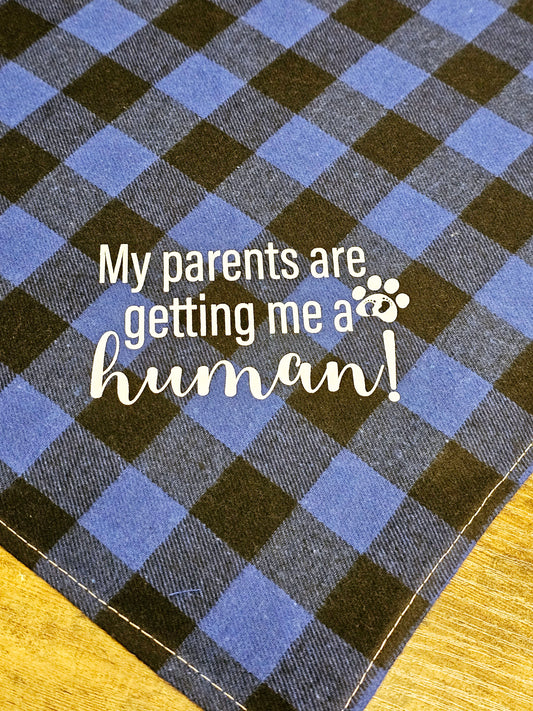 My Parents Are Getting Me A Human! Pet Bandanas