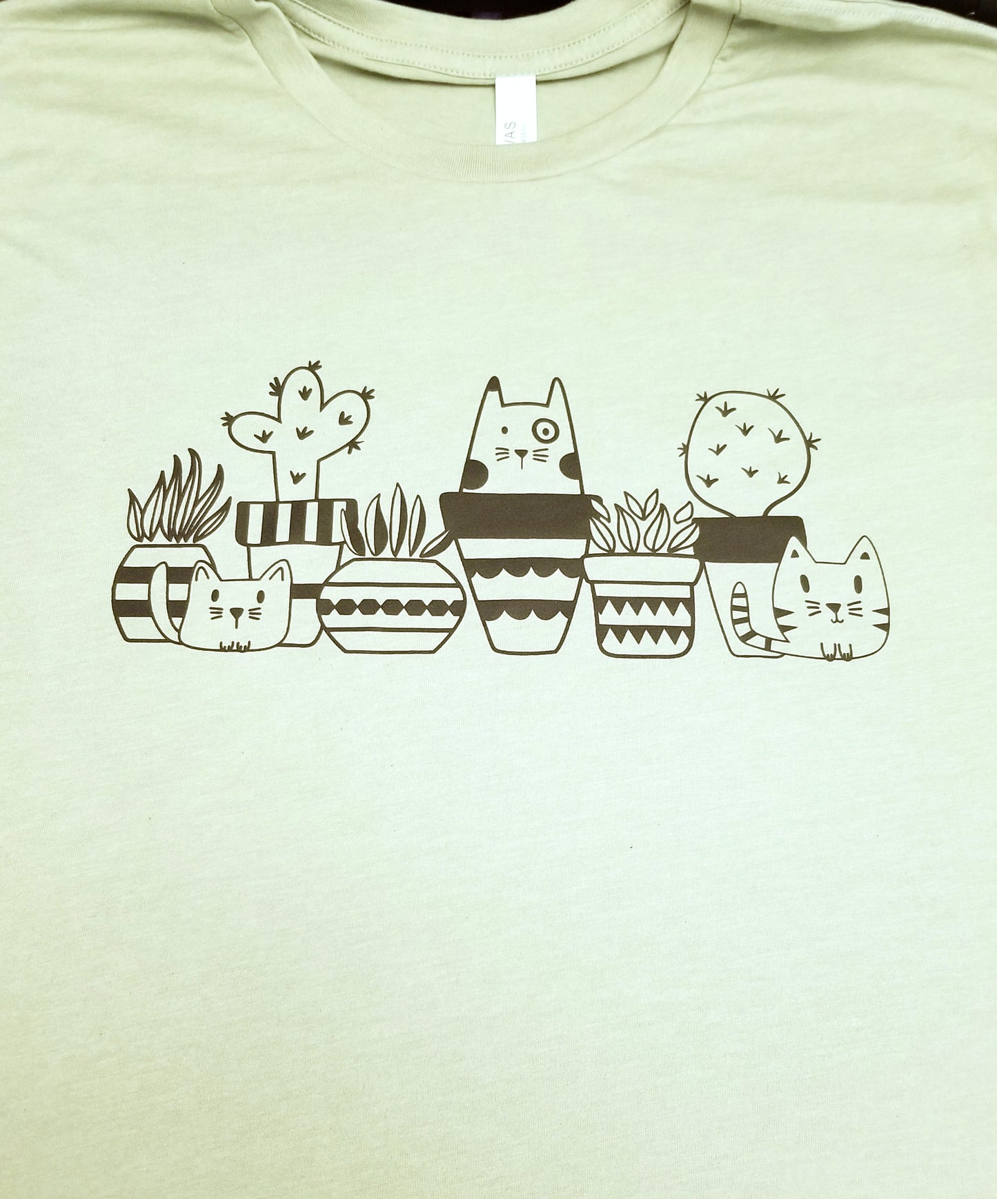 Cats & Cactus